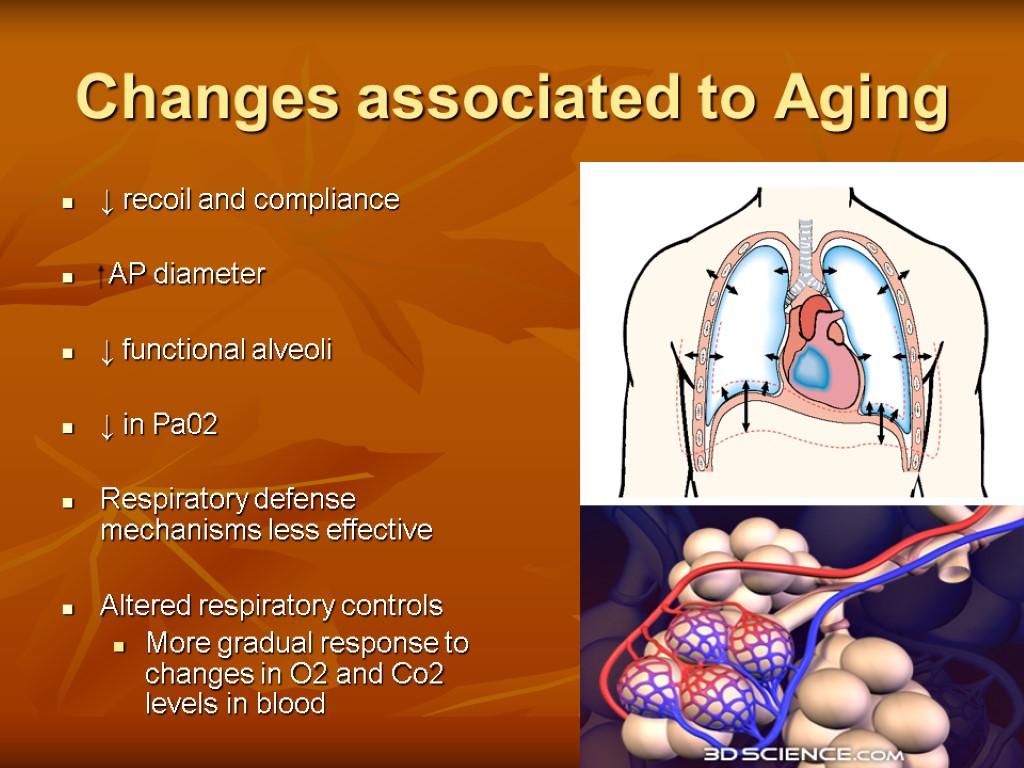 Changes associated to Aging ↓ recoil and compliance ⁭ AP diameter ↓ functional alveoli